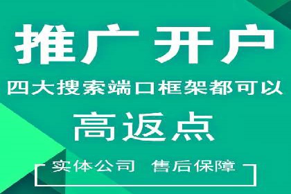 SEM推广实战：案例解析与策略探讨